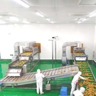 Mango Processing Machine mango juice production plant mango pulp plant cost