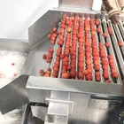 SUS304 Automatic Tomato Processing Line For Tomato Paste Making