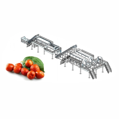 Industrial pomegranate juice production and processing line pomegranate juice making equipment