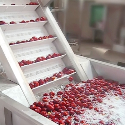 Industrial pomegranate juice production and processing line pomegranate juice making equipment